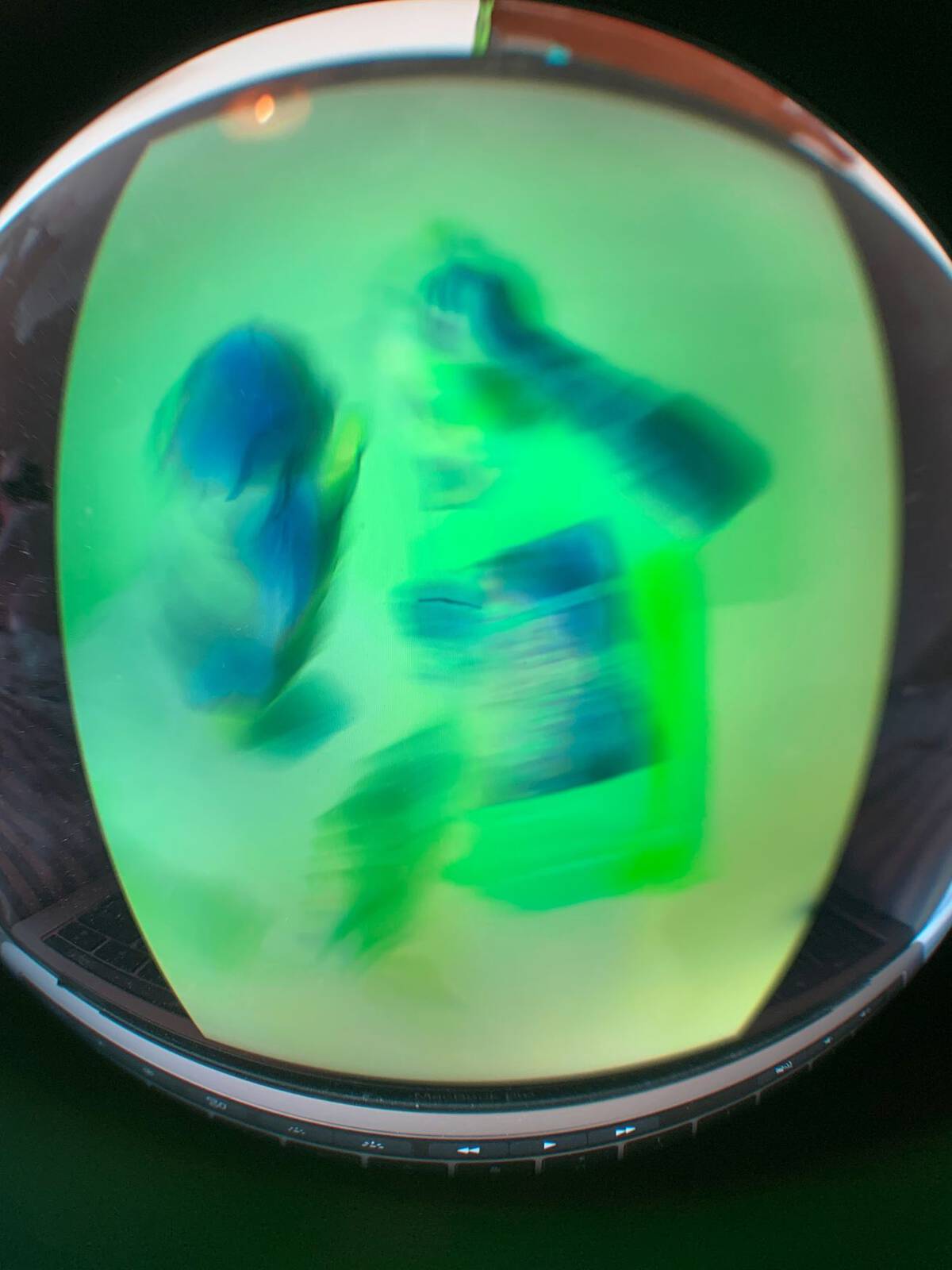 Photo of Two Shell