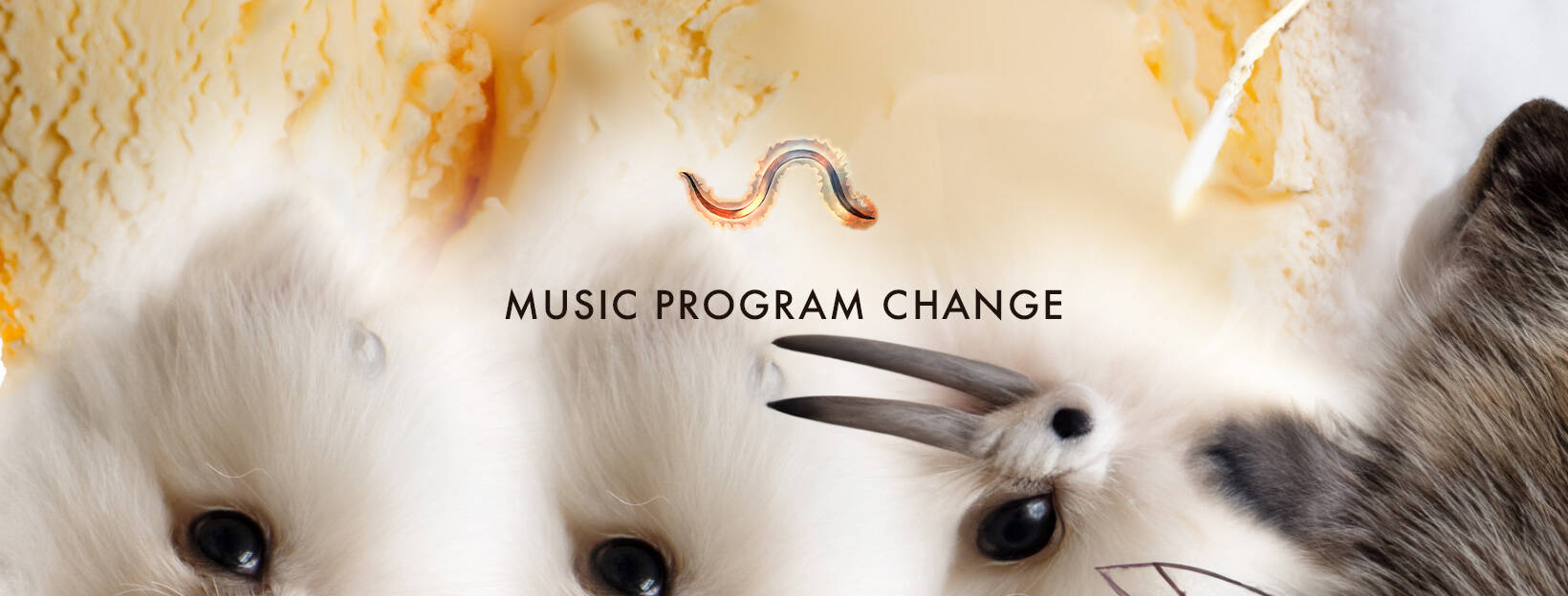 music program change contemporary music festival unsound europe
