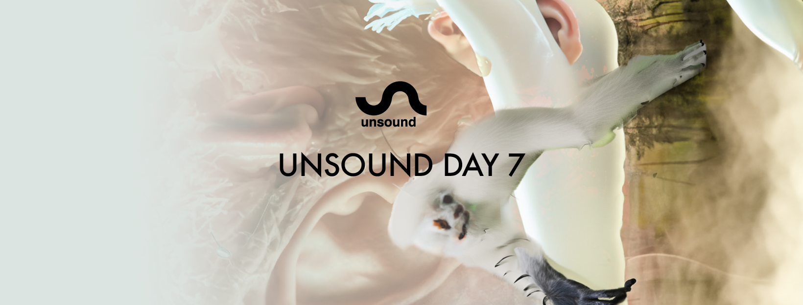 lineup of contemporary music festival performance music arts