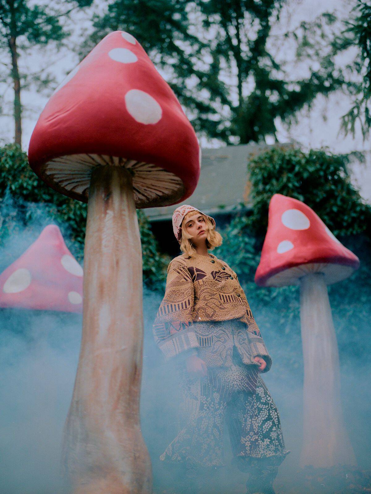 zdjęcie przedstawia kacha