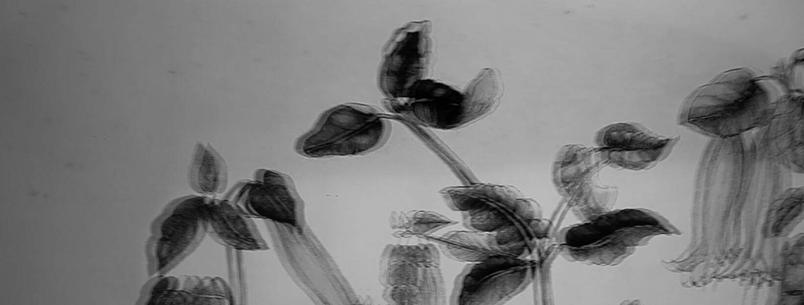 Unsound News Days 1 & 2: Sunday September 29 and 30