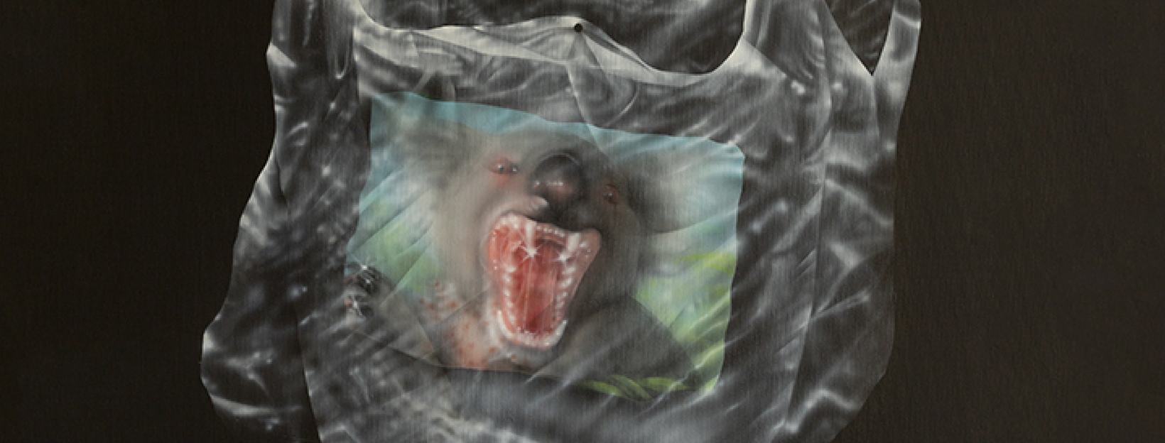 Unsound Adelaide 2025